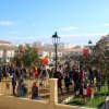 parque-18